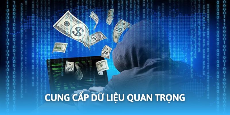 Điền thông tin theo yêu cầu từ nền tảng